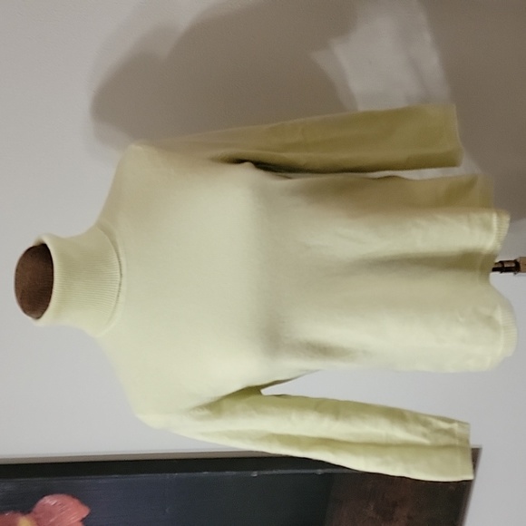 Ann Taylor Sweaters - Ann Taylor 100% Cashmere T-Neck Sweater